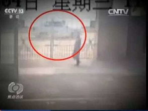 寧波學霸的一次出國邂逅,卻將自己變成了......